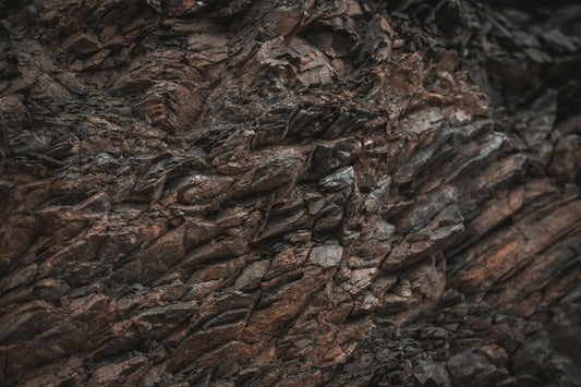 Gélules de Shilajit WEDIC