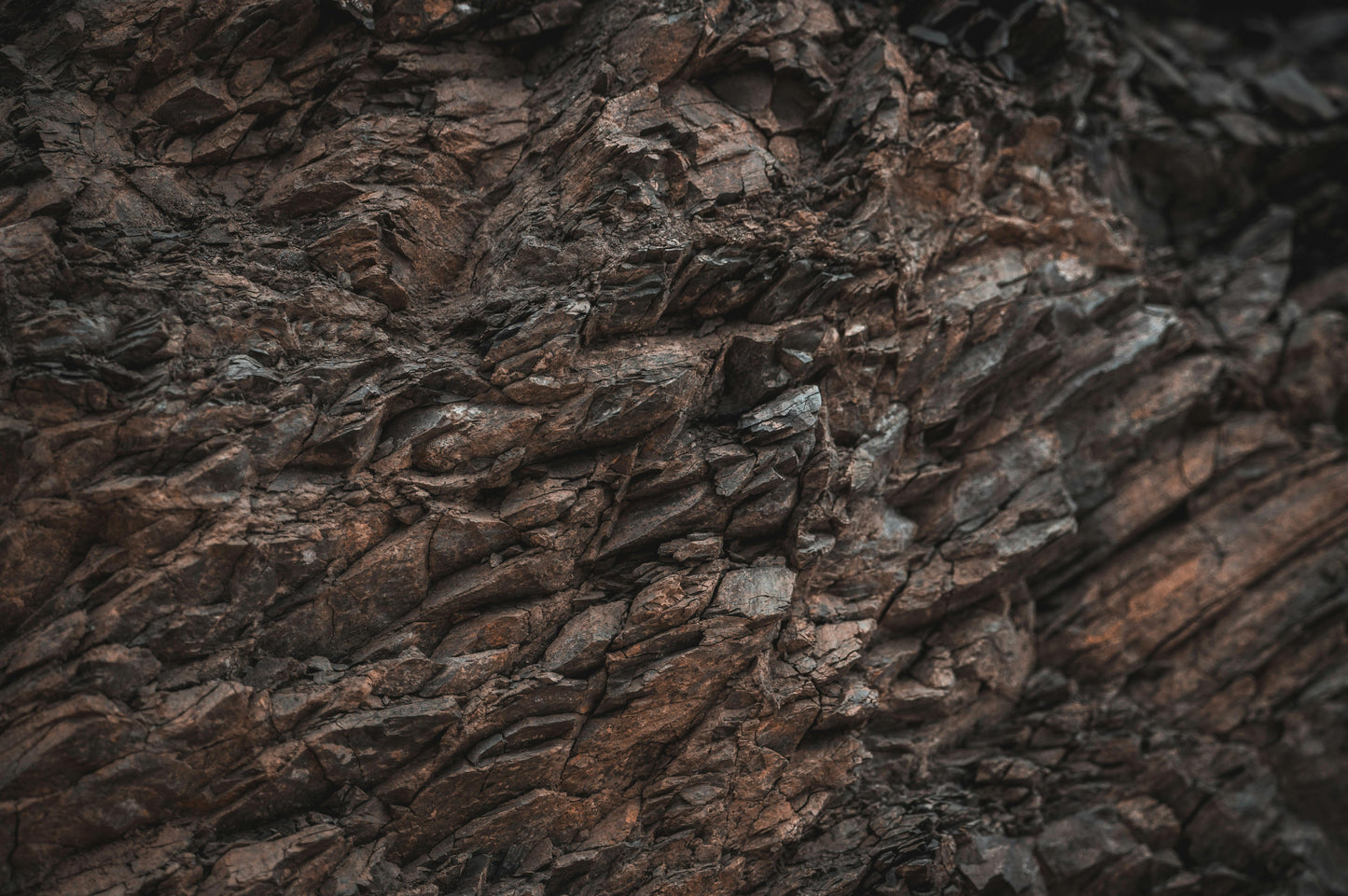 WEDIC Shilajit Kapseln