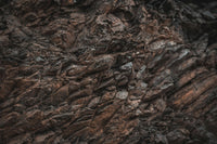 WEDIC Shilajit Kapseln