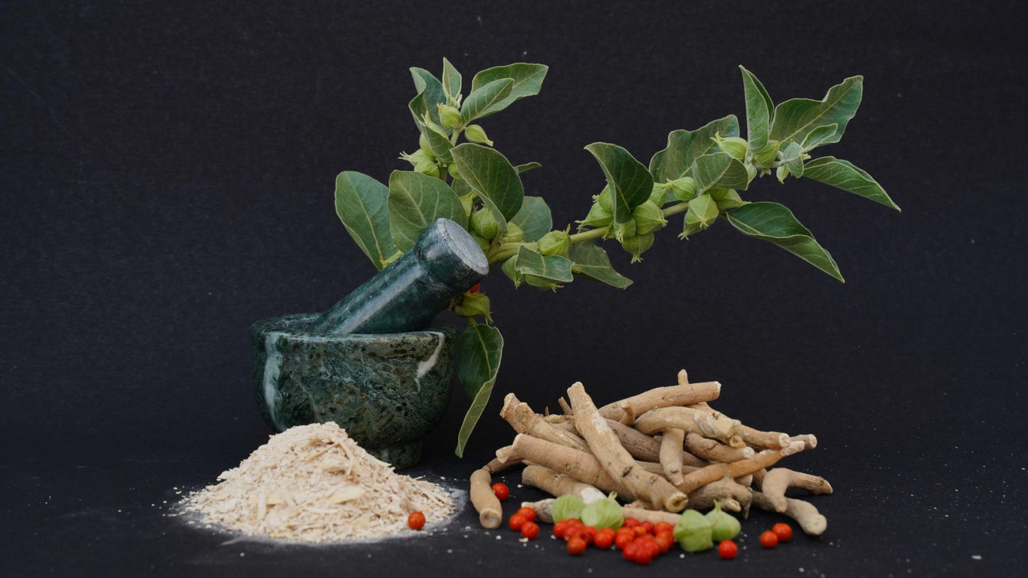 WEDIC Ashwagandha Kapseln – In der Schweiz getestet